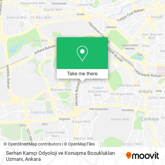 Serhan Kamçı Odyoloji ve Konuşma Bozuklukları Uzmanı map