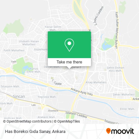 Has Borekcı Gıda Sanay map