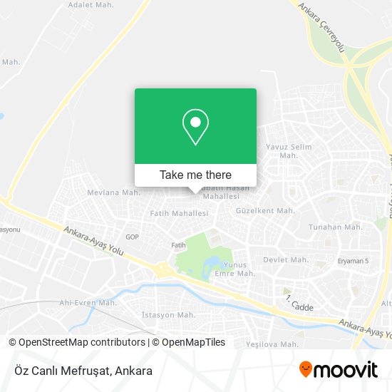 Öz Canlı Mefruşat map