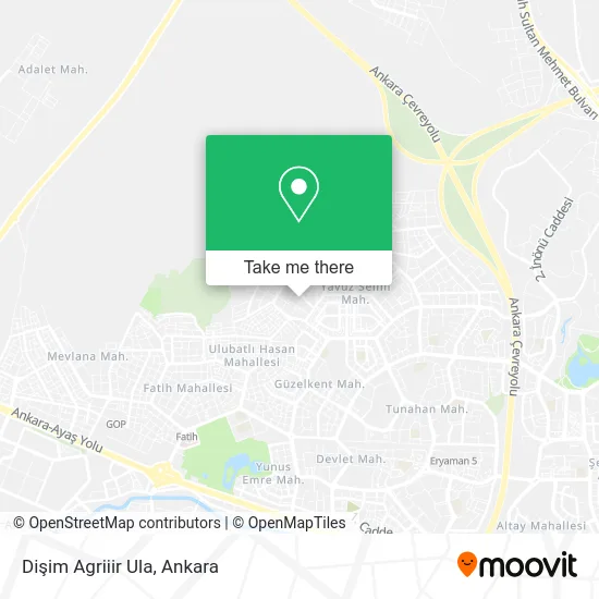 Dişim Agriiir Ula map