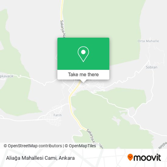 Aliağa Mahallesi Cami map