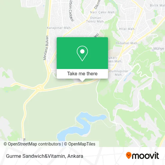 Gurme Sandwich&Vitamin map