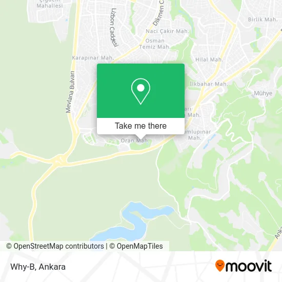 Why-B map