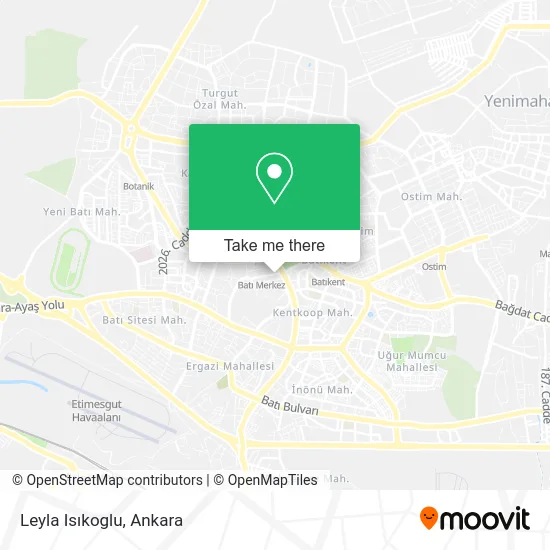 Leyla Isıkoglu map