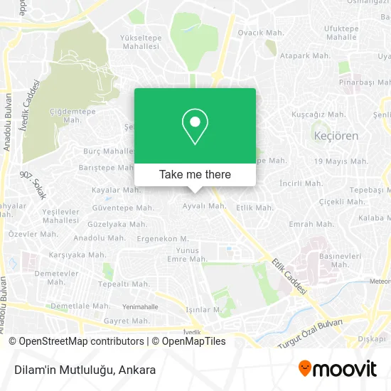 Dilam'in Mutluluğu map