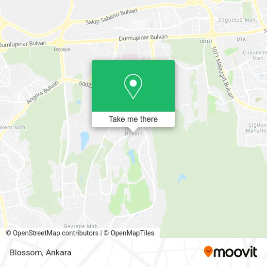 Blossom map
