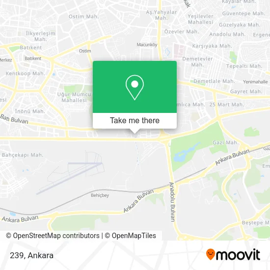 239 map