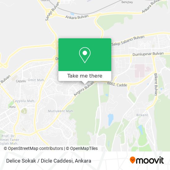 Delice Sokak / Dicle Caddesi map
