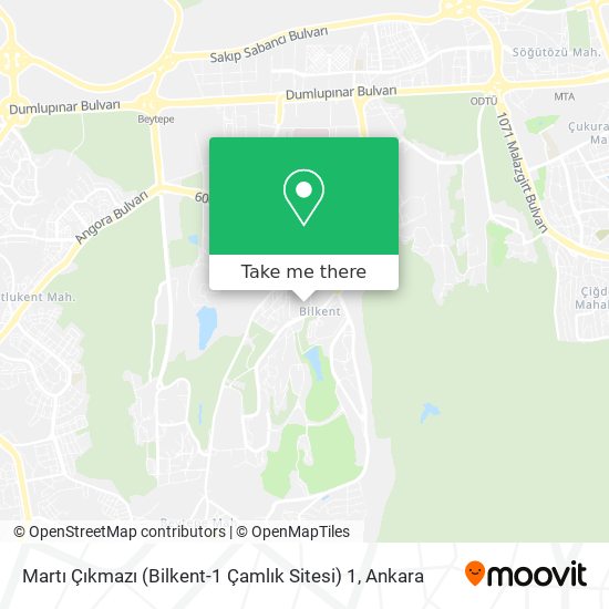 Martı Çıkmazı (Bilkent-1 Çamlık Sitesi) 1 map