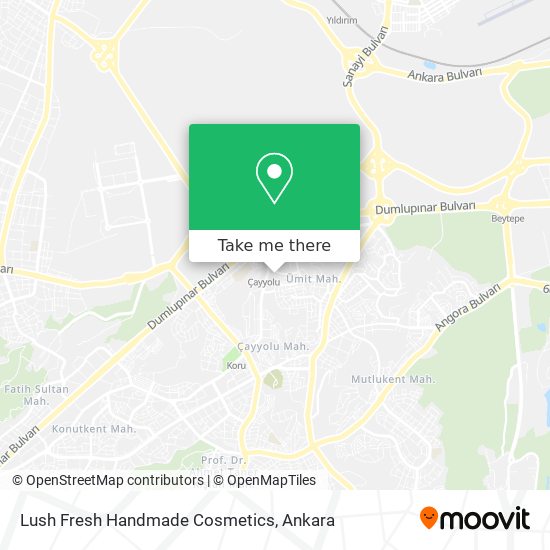 Lush Fresh Handmade Cosmetics map