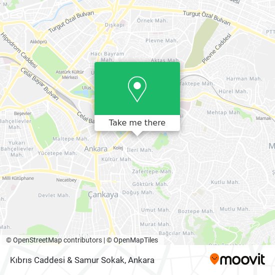 Kıbrıs Caddesi & Samur Sokak map