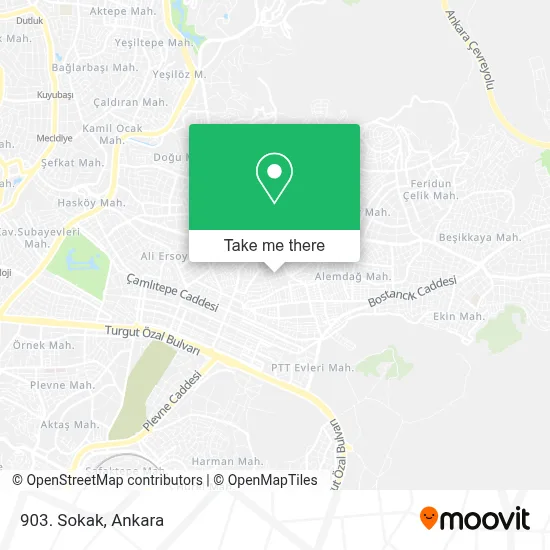 903. Sokak map