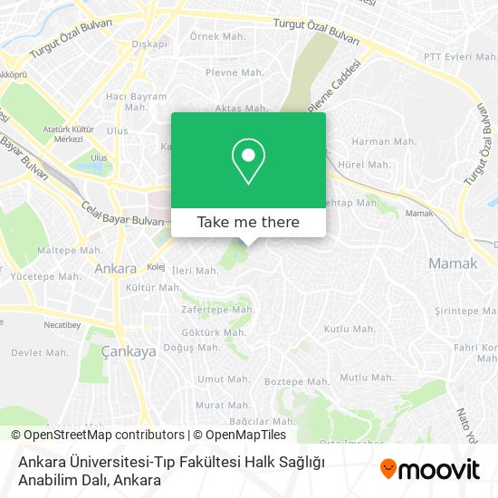 Ankara Üniversitesi-Tıp Fakültesi Halk Sağlığı Anabilim Dalı map