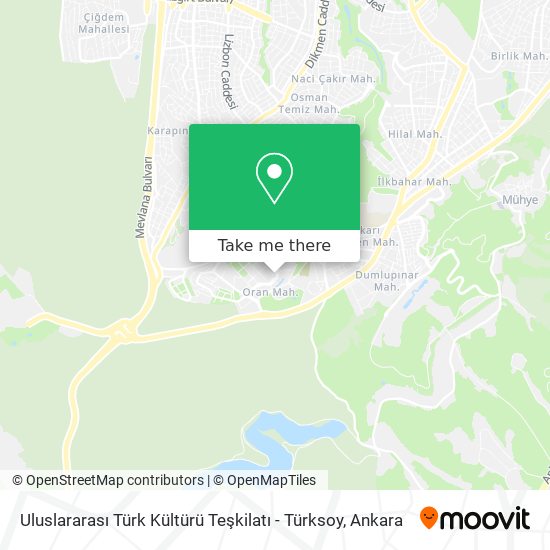 Uluslararası Türk Kültürü Teşkilatı - Türksoy map