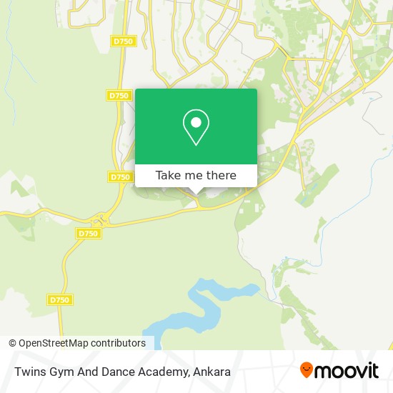 Twins Gym And Dance Academy map