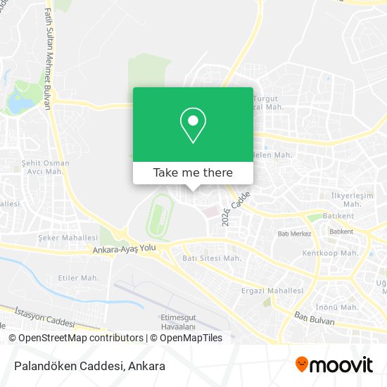Palandöken Caddesi map