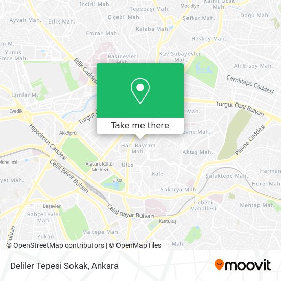 Deliler Tepesi Sokak map