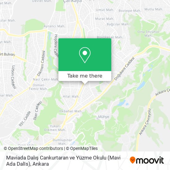 Maviada Dalış Cankurtaran ve Yüzme Okulu (Mavi Ada DalIs) map