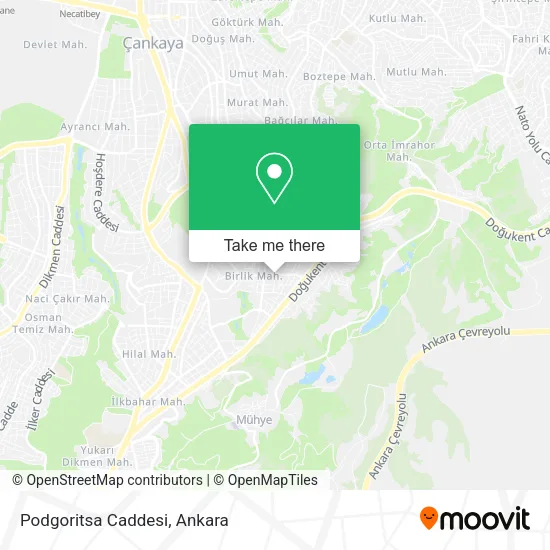 Podgoritsa Caddesi map