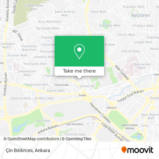 Çin Bıldırcını map
