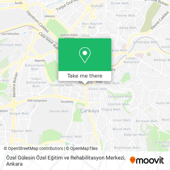 Özel Gülesin Özel Eğitim ve Rehabilitasyon Merkezi map