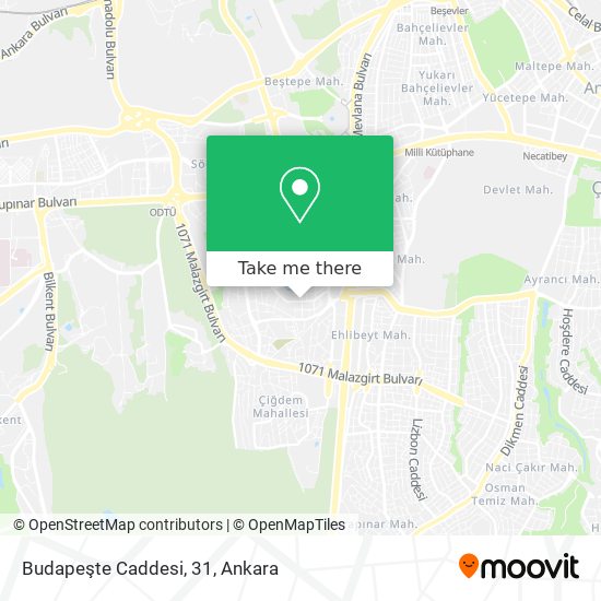 Budapeşte Caddesi, 31 map