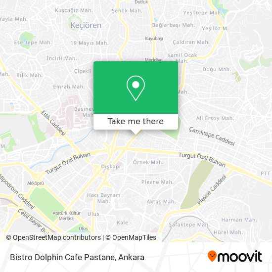 Bistro Dolphin Cafe Pastane map
