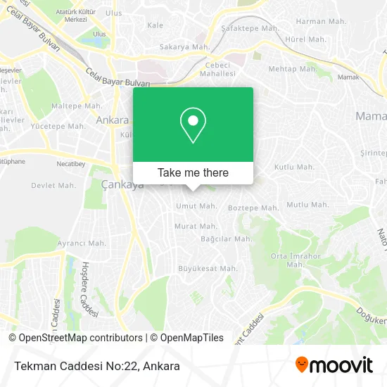 Tekman Caddesi No:22 map