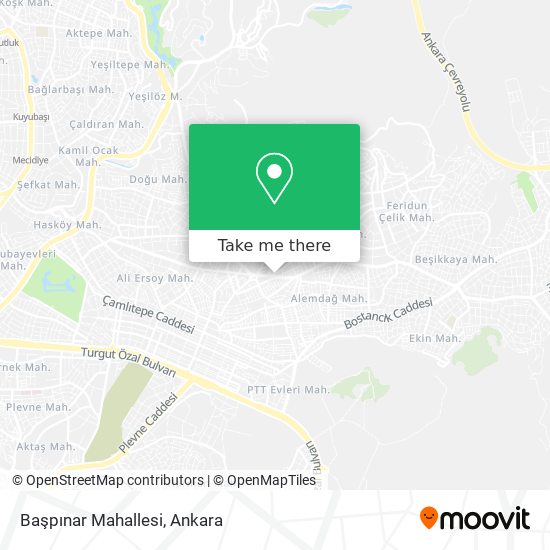 Başpınar Mahallesi map