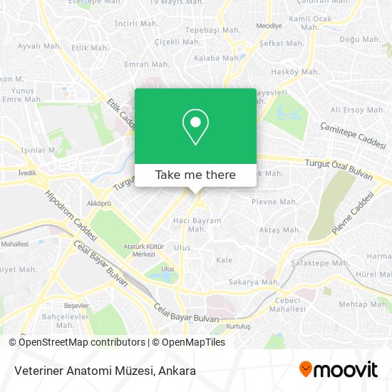 Veteriner Anatomi Müzesi map