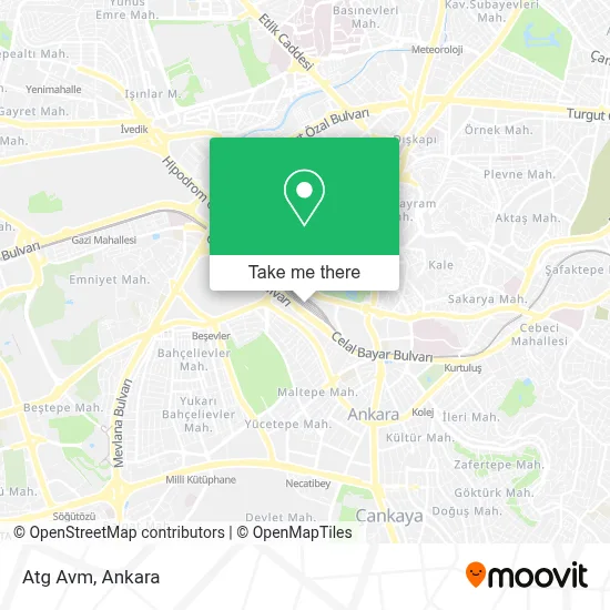Atg Avm map