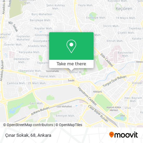 Çınar Sokak, 68 map