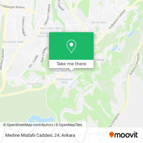 Medine Müdafii Caddesi, 24 map