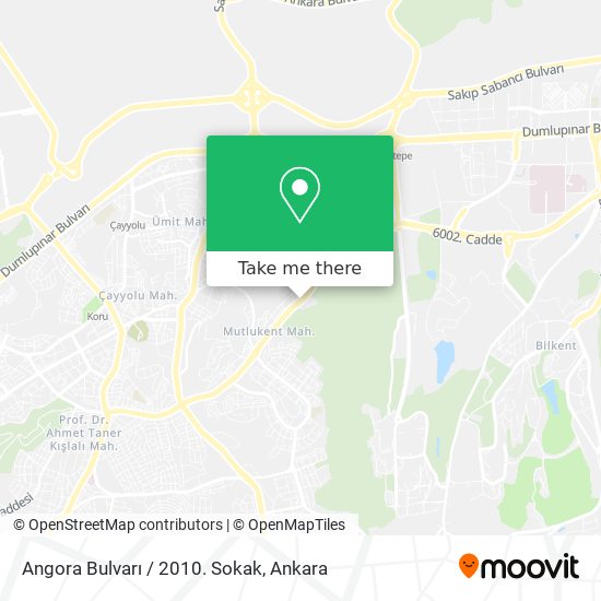 Angora Bulvarı / 2010. Sokak map
