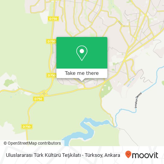 Uluslararası Türk Kültürü Teşkilatı - Türksoy map