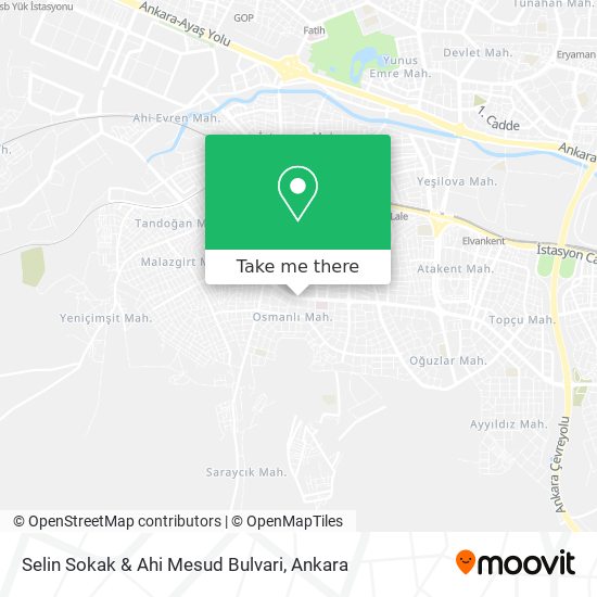 Selin Sokak & Ahi Mesud Bulvari map