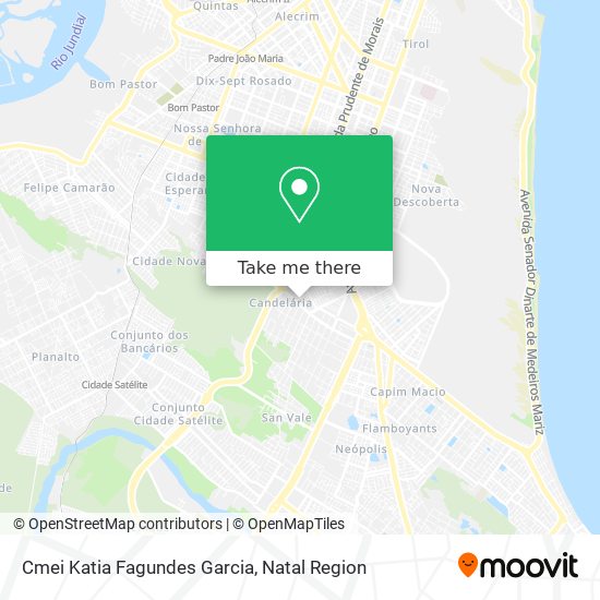 Mapa Cmei Katia Fagundes Garcia