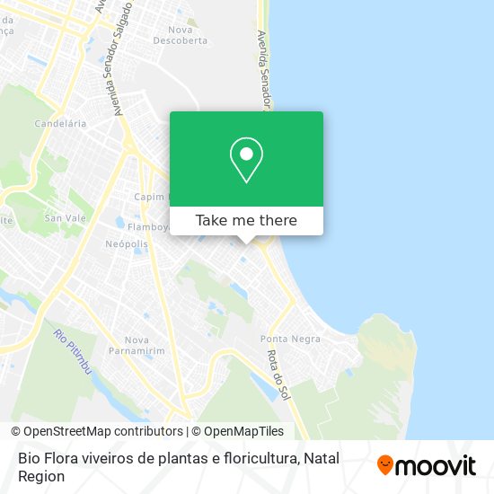 Bio Flora viveiros de plantas e floricultura map