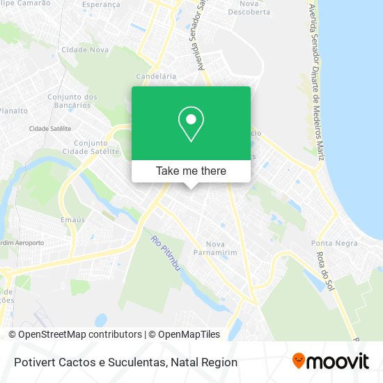 Potivert Cactos e Suculentas map