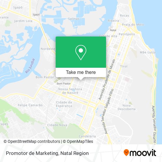 Mapa Promotor de Marketing