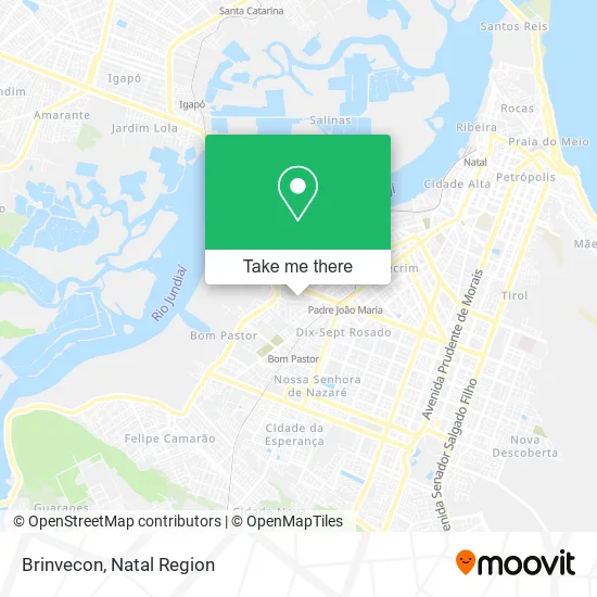 Brinvecon map
