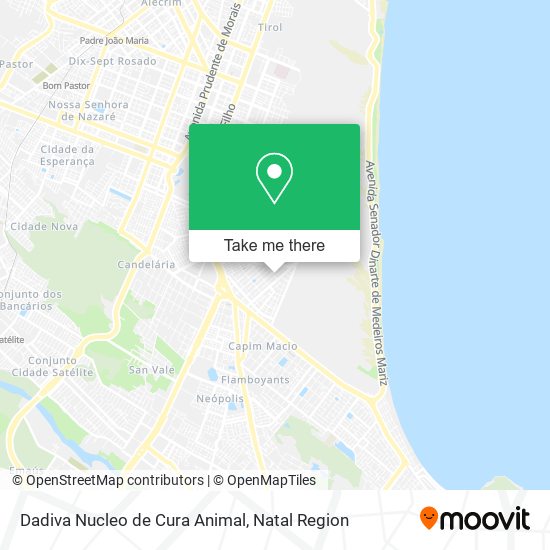 Dadiva Nucleo de Cura Animal map