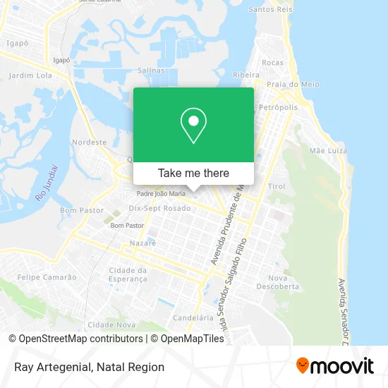 Ray Artegenial map