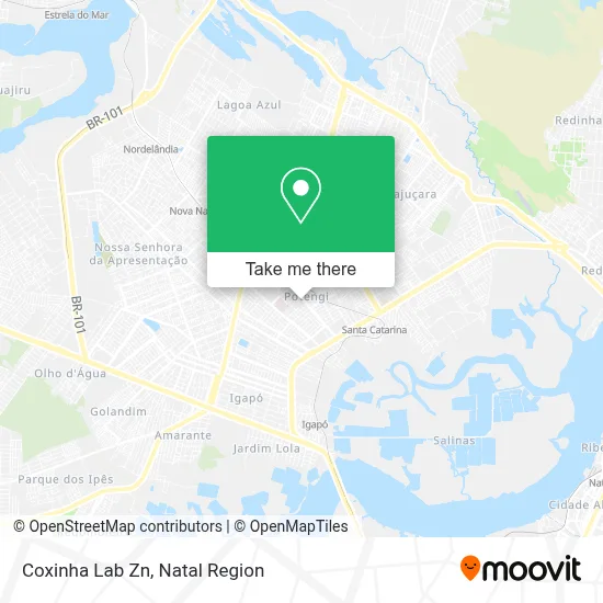 Coxinha Lab Zn map
