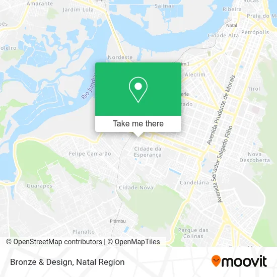 Bronze & Design map