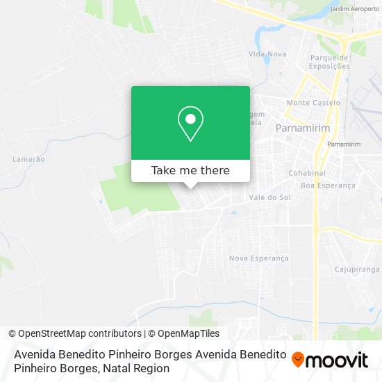 Avenida Benedito Pinheiro Borges Avenida Benedito Pinheiro Borges map