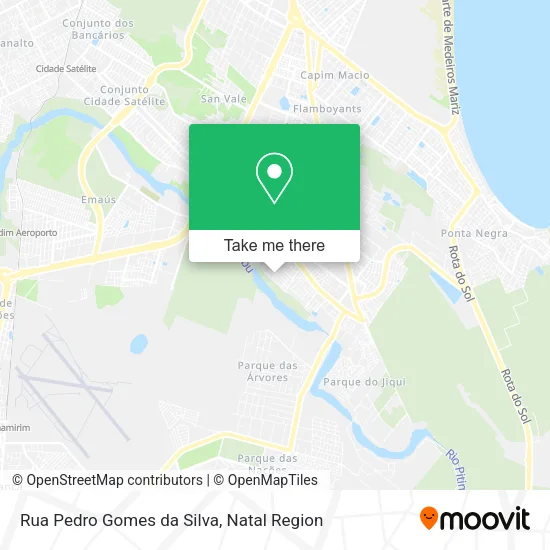 Rua Pedro Gomes da Silva map