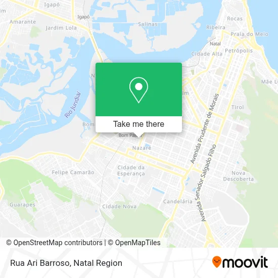 Rua Ari Barroso map