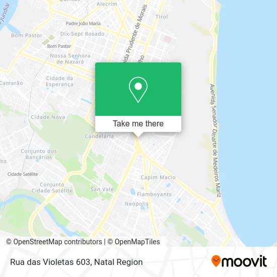 Rua das Violetas 603 map