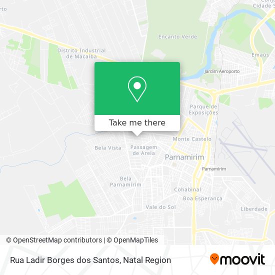 Rua Ladir Borges dos Santos map